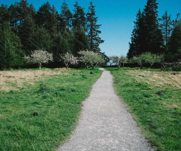 Perfect every day nail